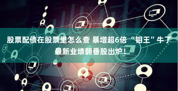 股票配债在股票里怎么查 暴增超6倍 “钼王”牛了 最新业绩翻番股出炉！